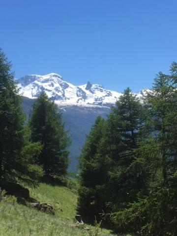 Haus Valaisia - Randa Bei Zermatt Apartment Екстериор снимка