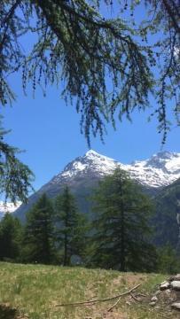 Haus Valaisia - Randa Bei Zermatt Apartment Екстериор снимка